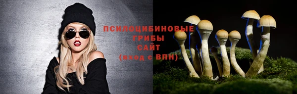 спайс Арсеньев